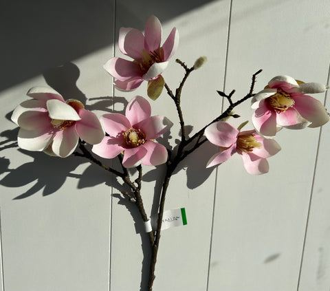 Magnoliatak roze