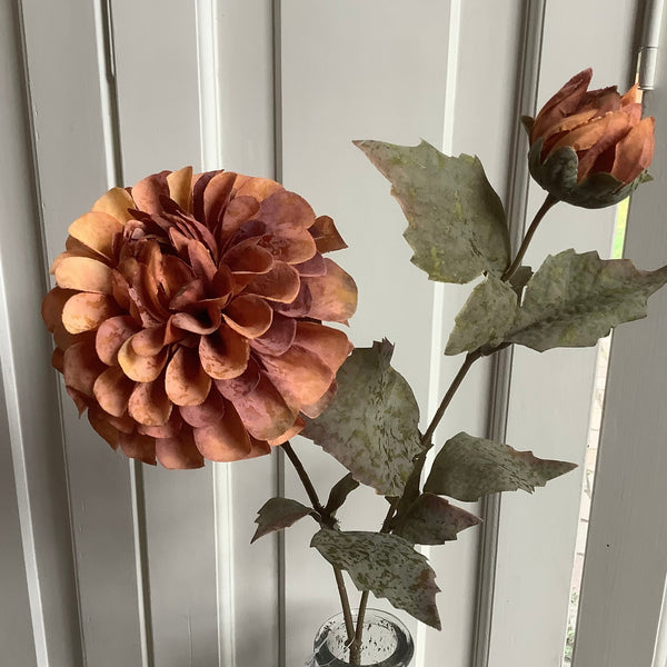 Dahlia roest bruin