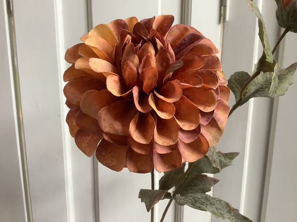 Dahlia roest bruin