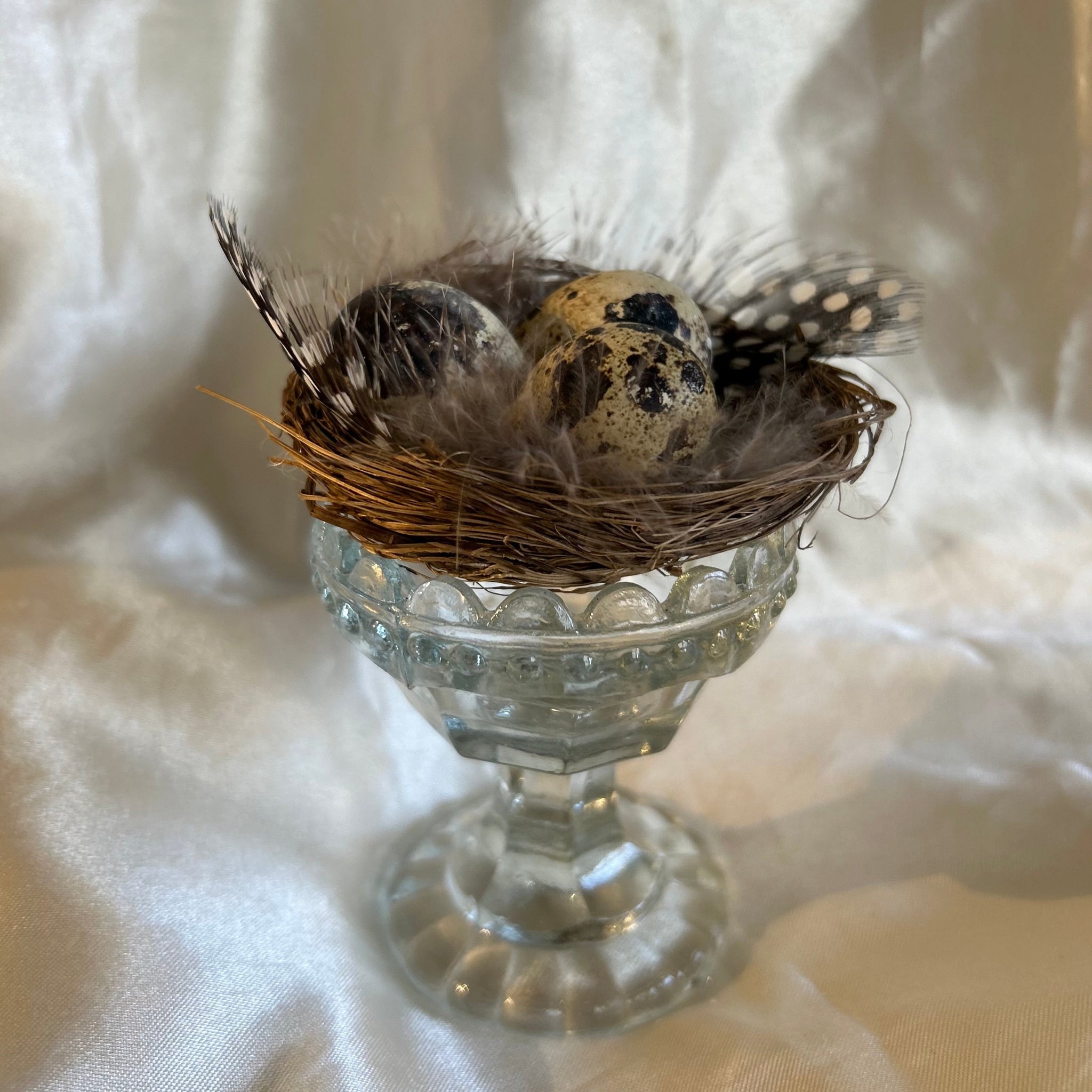 Vogel nestje