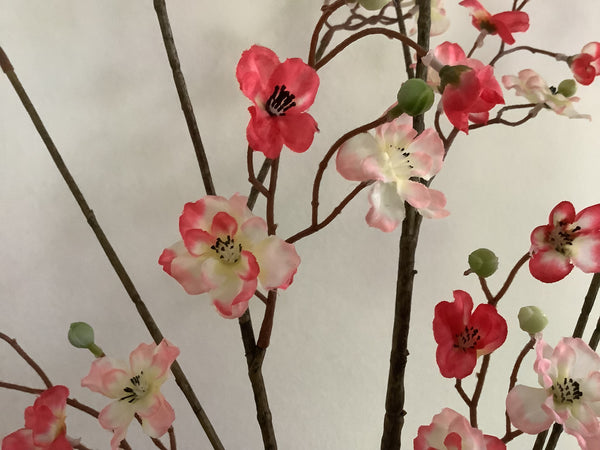 Bloesemtak Tokyo