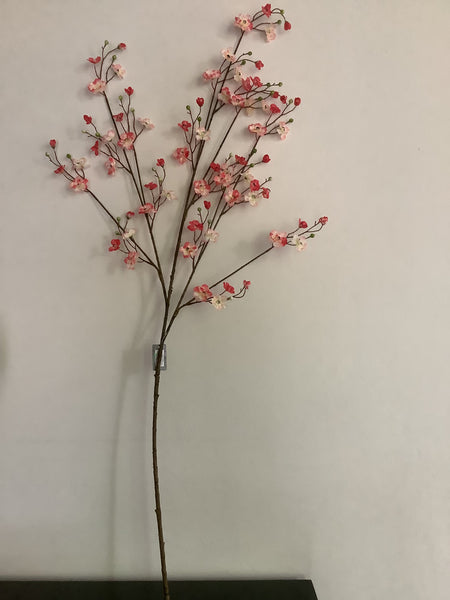 Bloesemtak Tokyo