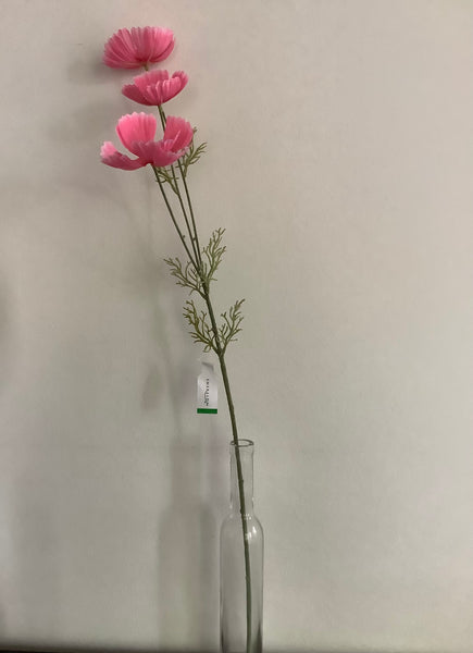 Cosmea Roze