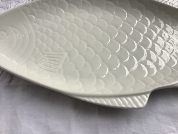 Schaal witte Vis