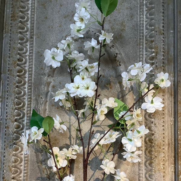 Witte bloesemtak
