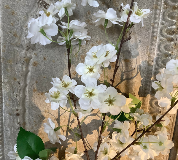 Witte bloesemtak