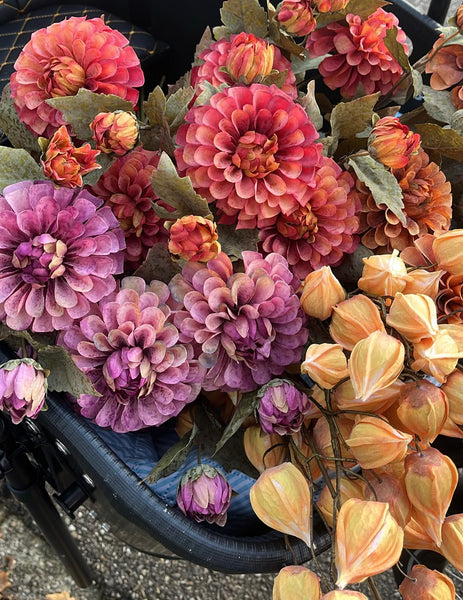 Dahlia roest bruin