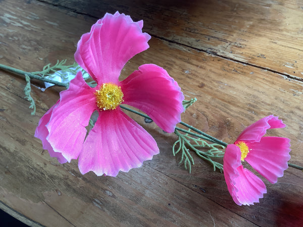 Cosmea Roze