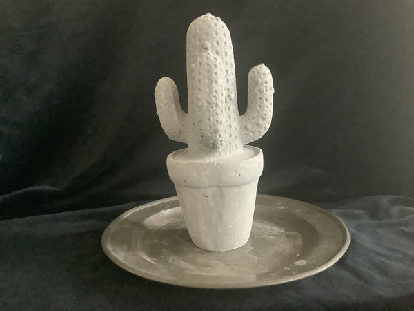 Cactus beton