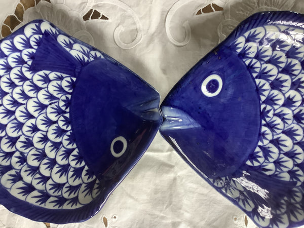 Vis schaal Blauw