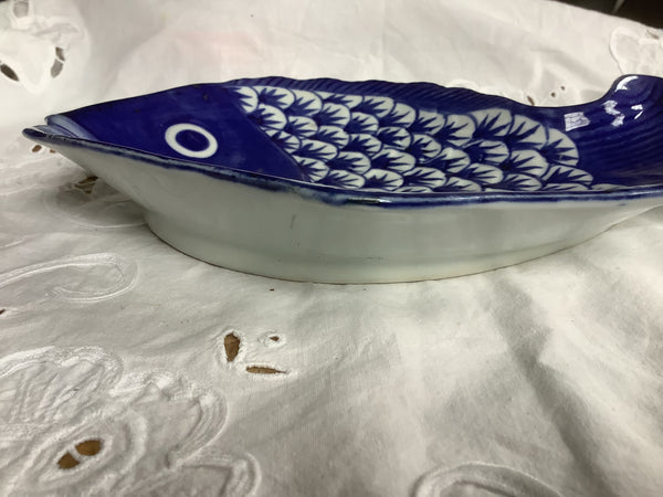 Vis schaal Blauw