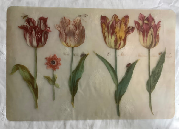 Placemats Tulpen